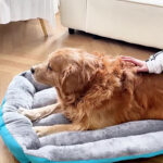 Winter Warm Dog Bed - Image 3