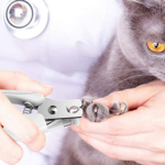 LED Light Pet Nail Clipper - Image 3