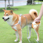 Retractable Dog Leash - Image 4