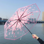 Foldable Transparent Umbrella - Image 10