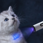 Electric Pet Shaver - Image 5